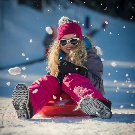 Sonnenschein سخلادميخ