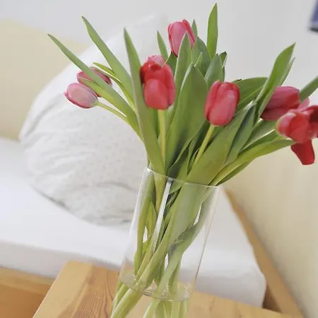 Sonnenschein 슈라드밍