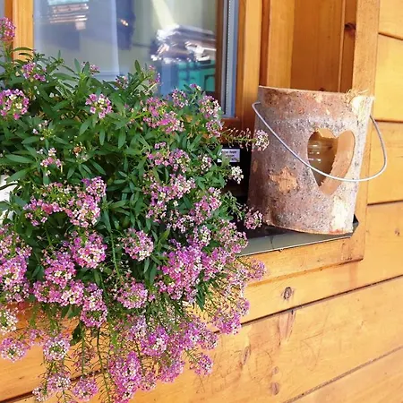 아파트 Sonnenschein 슈라드밍