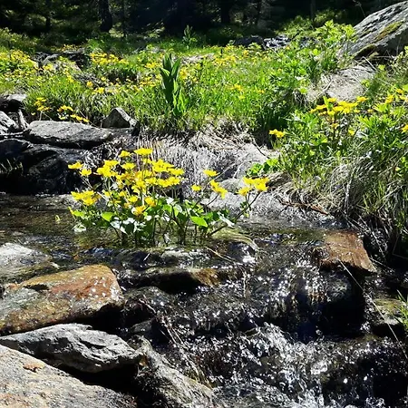 아파트 Sonnenschein