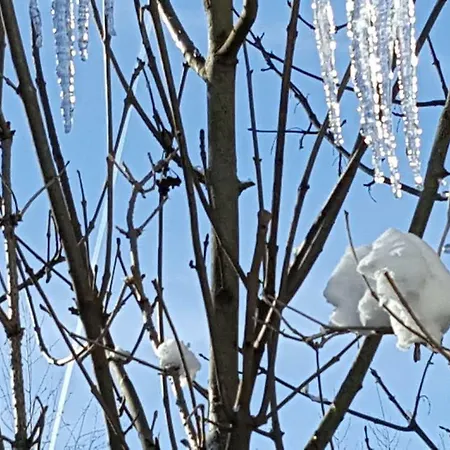 Sonnenschein 아파트 슈라드밍