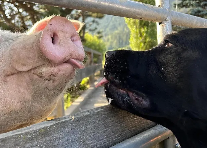 Apartment Landhaus Sonnenschein *