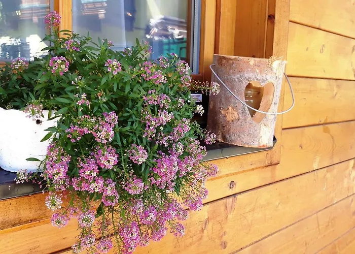 Appartement Sonnenschein Schladming