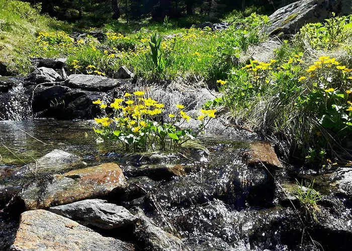 Apartment Landhaus Sonnenschein