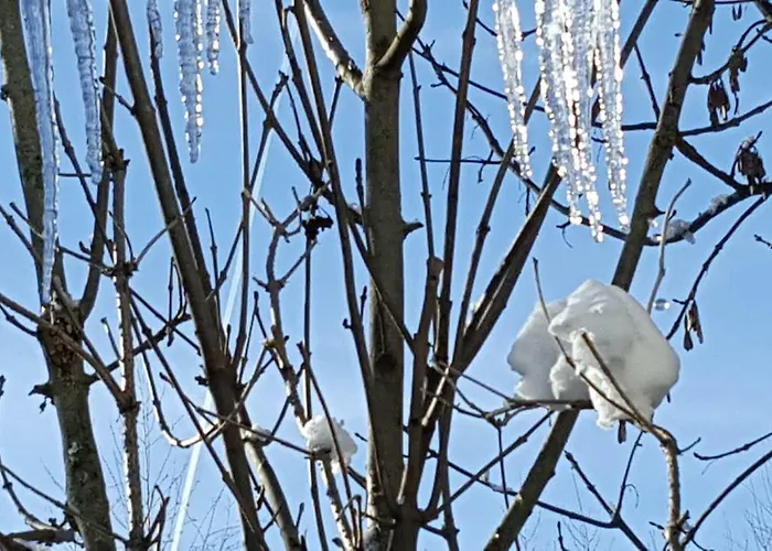 Landhaus Sonnenschein Apartment Schladming
